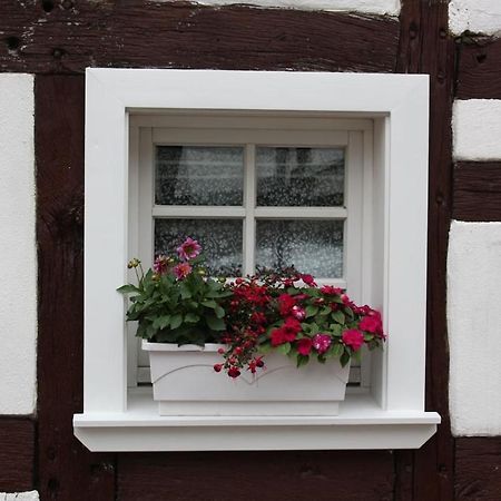 Gemuetliche Fachwerkwohnung Alfter エクステリア 写真