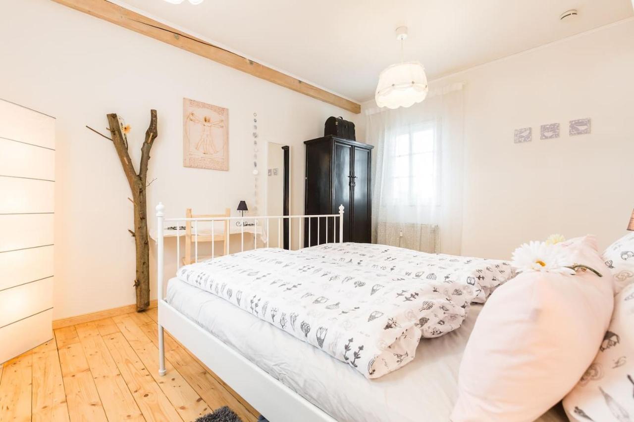 Gemuetliche Fachwerkwohnung Alfter エクステリア 写真