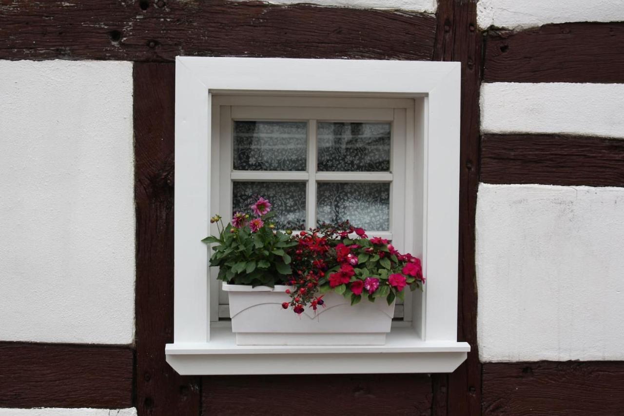 Gemuetliche Fachwerkwohnung Alfter エクステリア 写真